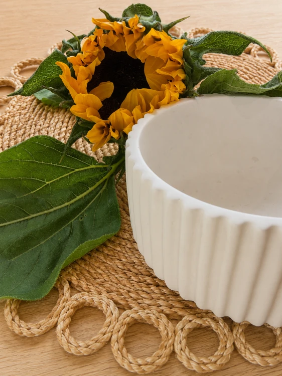 ChatGPT Image 9 sie 2026, 18_52_28.png