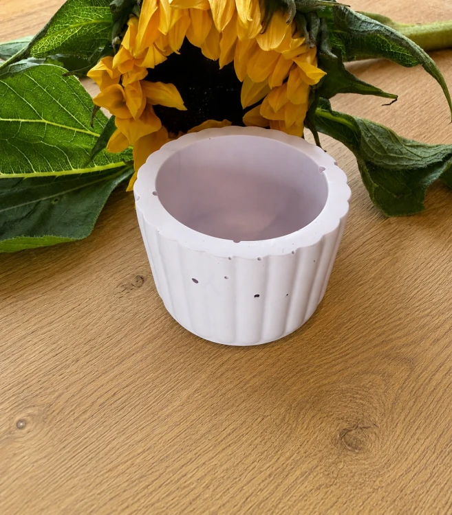 ChatGPT Image 11 sie 2026, 16_03_41.png