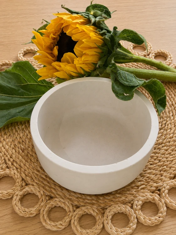 ChatGPT Image 9 sie 2026, 18_54_33.png