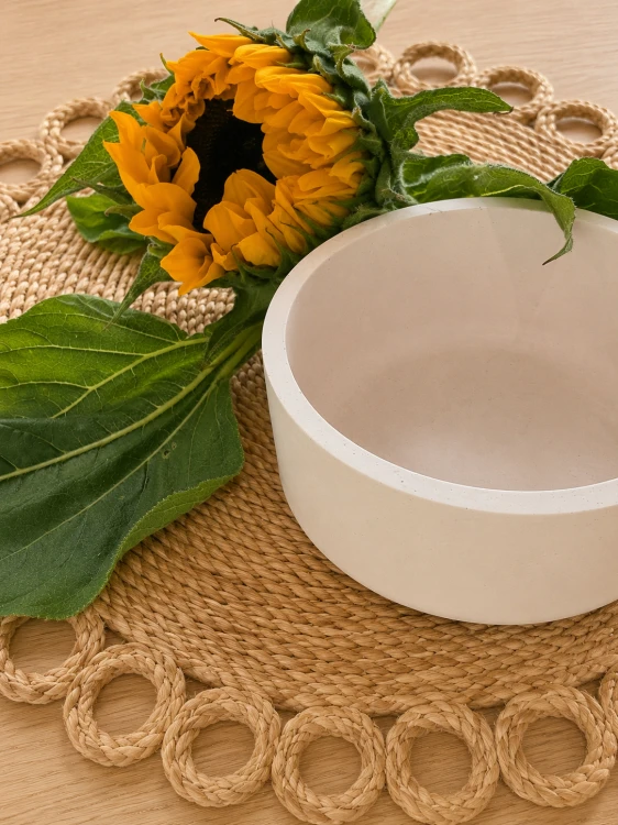 ChatGPT Image 9 sie 2026, 18_58_20.png