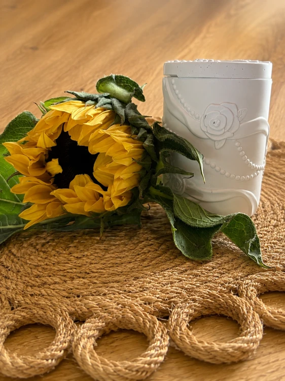 ChatGPT Image 10 sie 2026, 15_44_23.png