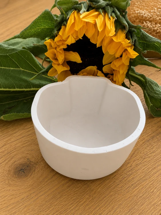 ChatGPT Image 12 sie 2026, 12_14_12.png
