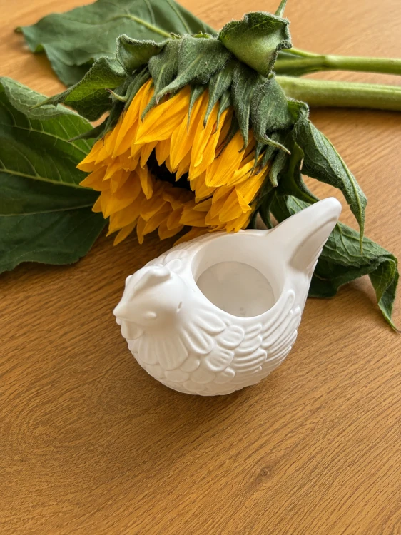 ChatGPT Image 12 sie 2026, 12_39_52.png